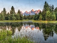 Stan Wyoming, Góry Teton Range, Drzewa, Rzeka Snake River, Stany Zjednoczone, Park Narodowy Grand Teton, Odbicie