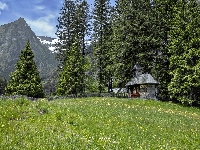 Schwarzensee, Kaplica, Polana, Drzewa, Austria, Góry