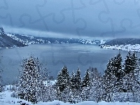Drzewa, Norwegia, Zima Jezioro, Góry, Jolstravatnet