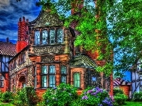 Drzewa, Domy, HDR, Krzewy