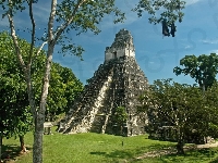 Jaguara, Gwatemala, Piramida, Drzewa
