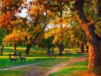 Ławka, Jesień, Drzewa, Park