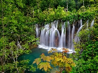Park Narodowy Jezior Plitwickich, Lasy, Wodospad, Chorwacja, Drzewa