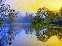 Drzewa, Jezioro