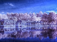 Jezioro, Drzewa, Domki