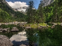 Drzewa, Kamienie, Góry, Jezioro, Wysepka