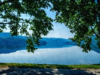 Jezioro Heddalsvatnet, Norwegia, Drzewa