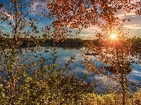 Jezioro, Drzewa, Kanada, Nowy Brunszwik, Promienie słońca