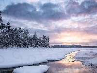 Śnieg, Jezioro, Zima, Drzewa, Zamarznięte