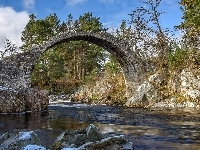 Kamienie, Drzewa, Szkocja, Rzeka Dulnain, Most Carrbridge