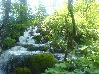 Drzewa, Wodospad, Kamienie, Plitvice