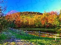 Drzewa, Jesień, Kolorowe, Jezioro