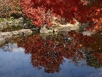 Drzewa, Kamienie, Jesień, Kolorowe, Staw