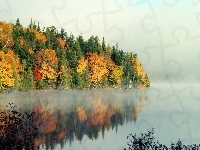 Drzewa, Odbicie, Jesień, Kolorowe, Jezioro