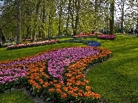 Drzewa, Park, Kwiaty, Trawniki