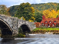 Conwy River, Las, Jesień, Llanrwst, Most, Wzgórze, Rzeka, Drzewa, Drzewa, Dom, Walia