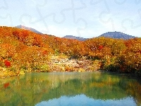Drzewa, Jezioro, Las, Góry