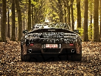 Las, Aston Martin V8 Vantage Roadster, 2012, Drzewa