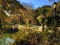 Drzewa, Park, Most, Jesień