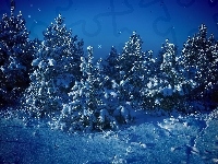Drzewa, Zima, Świerkowy, Śnieg, Mróz, Las