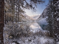 Republika Ałtaju, Jezioro Szawlińskie, Śnieg, Góry Ałtaj, Rosja, Zima, Drzewa