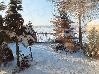 Śnieg, Drzewa, Płot