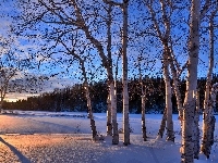 Drzewa, Zachód Słońca, Zima, Śnieg, Brzozy