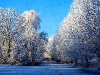 Śnieg, Drzewa, Zima