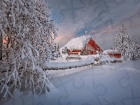 Drzewa, Zmierzch, Zima, Śnieg, Dom