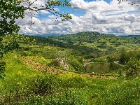 Drzewa, Pola, Wzgórza, Winnice, Chmury, Vogtsburg, Niemcy, Las, Kaiserstuhl