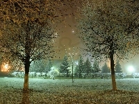 Drzewa, Park, Noc, Oświetlenie