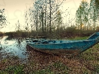 Drzewa, Bagno, Łódź, Jesień