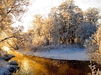 Drzewa, Rzeka, Ośnieżone, Zima