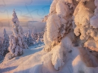 Góry Ural, Ośnieżone, Zaspy, Zima, Rosja, Południowy Ural, Drzewa