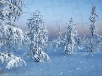 Ośnieżone, Drzewa, Zima