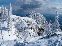 Drzewa, Ośnieżone, Ośnieżone, Rumunia, Skały, Góry, Park Narodowy Cozia