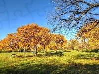 Drzewa, Jesień, Park, Ławeczka