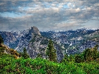 Park Narodowy Yosemite, Kalifornia, Drzewa, Krzewy, Chmury, Roślinność, Stany Zjednoczone, Góry Sierra Nevada, Ciemne