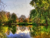 Drzewa, Staw, Park, Jesień