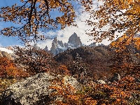 Drzewa, Argentyna, Szczyt Fitz Roy, Skały, Góry Andy, Patagonia, Jesień