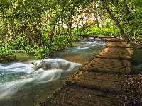 Drzewa, Plitvice, Chorwacja, Park Narodowy Jezior Plitwickich, Pomost, Rzeka