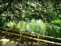 Płot, Drzewa, Woda