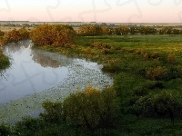 Drzewa, Łąki, Jesień, Rzeka, Pola, Panorama