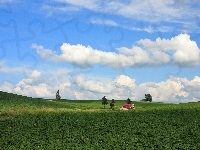 Drzewa, Chmury, Pole, Domek
