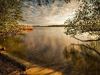 Drzewa, Jezioro, Poranek, Brzeg