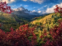 Kolorowa, Jesień, Góry, Drzewa, Drzewa, Roślinność