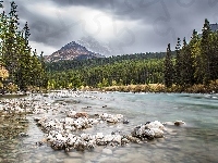 Prowincja Alberta, Góry, Kamienie, Rzeka, Kanada, Park Narodowy Banff, Drzewa