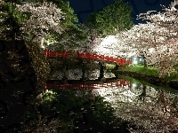 Rzeka, Drzewa, Japonia, Kwitnące, Park, Most, Wiosna