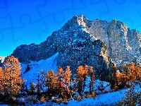 Drzewa, Góry, Skaliste, Zima