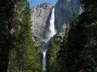 Drzewa, Kalifornia, Wodospad, Skały, Yosemite